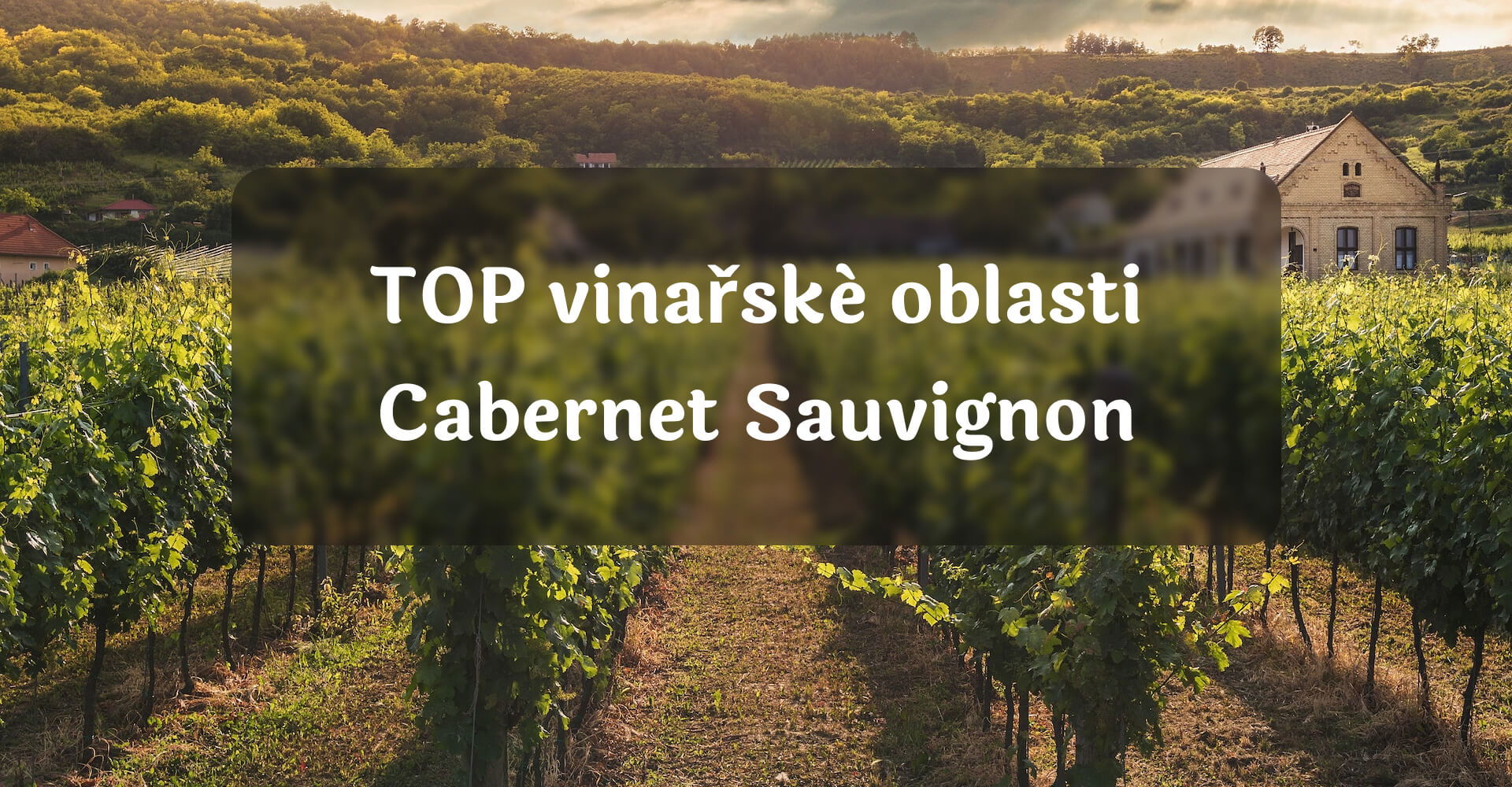 TOP vinařské oblasti